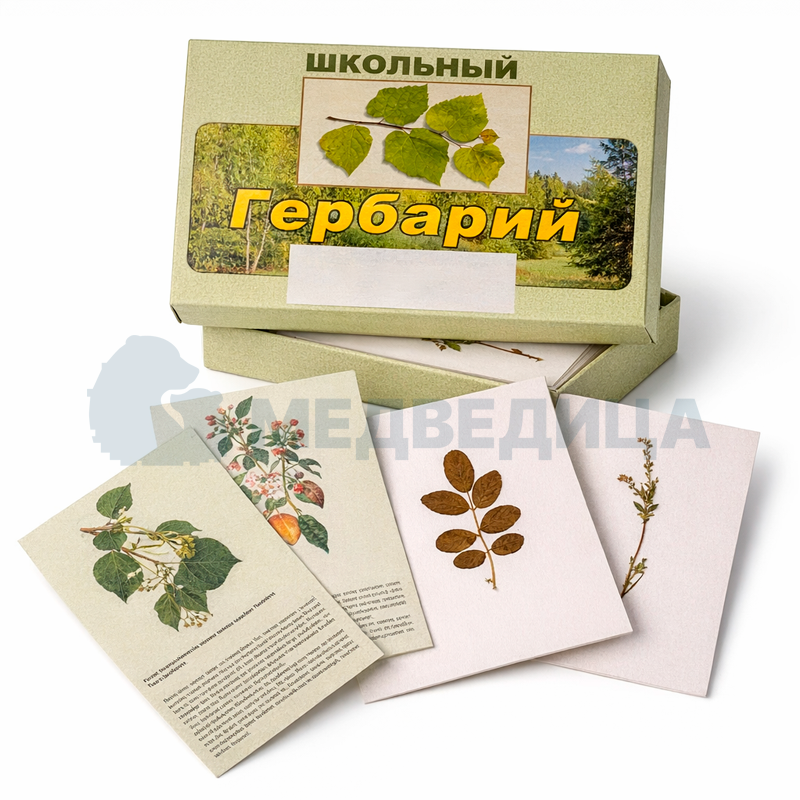 Комплект гербариев демонстрационных