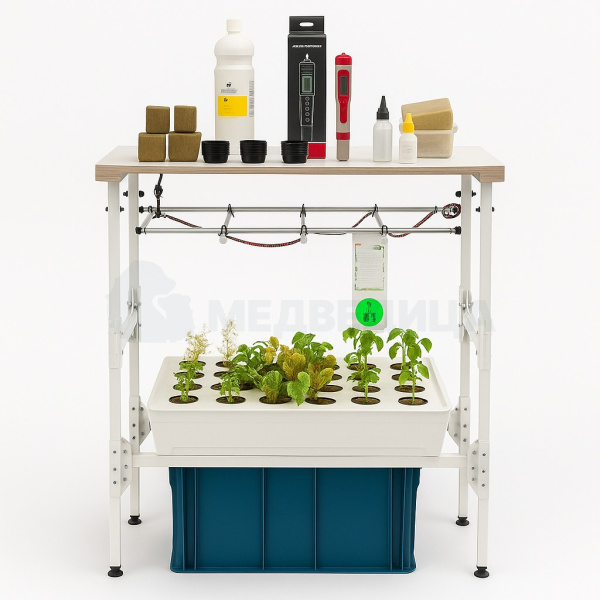 Комплект лабораторного оборудования «От зародыша до взрослого растения (организма)» со стартовым набором расходных материалов. 