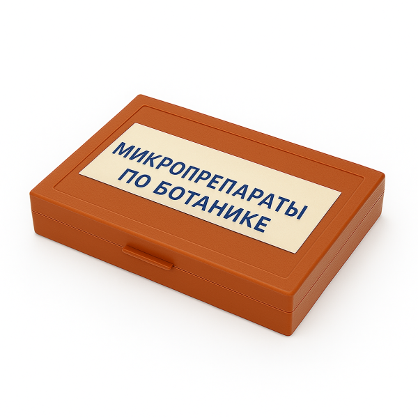 Комплект микропрепаратов по ботанике