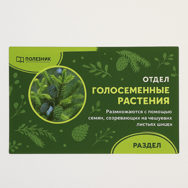 Голосеменные растения