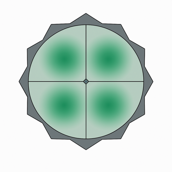 Модель аппликация одноклеточной водоросли