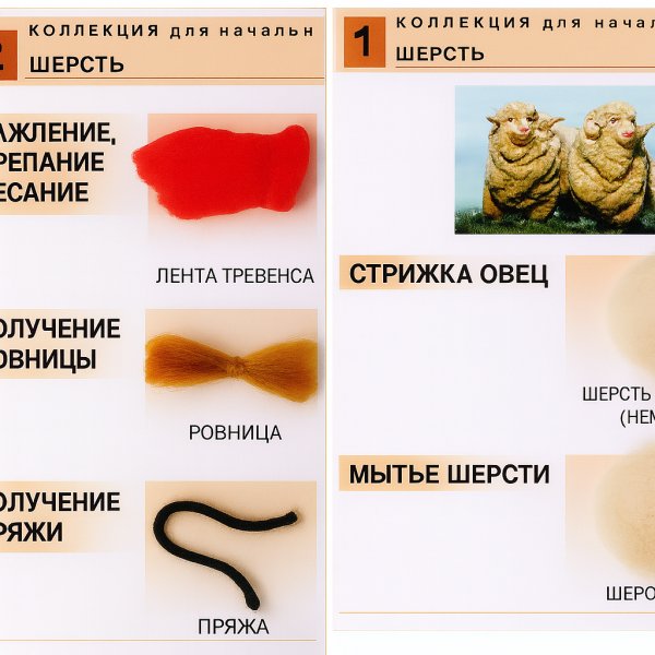 Коллекция «Шерсть и продукты ее переработки»