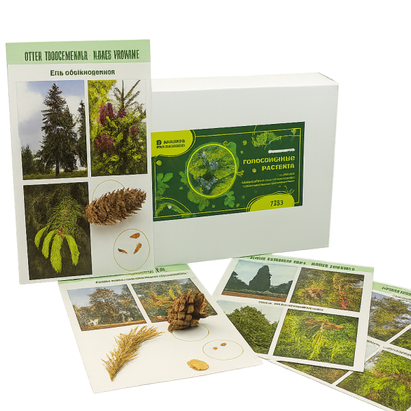 Голосеменные растения