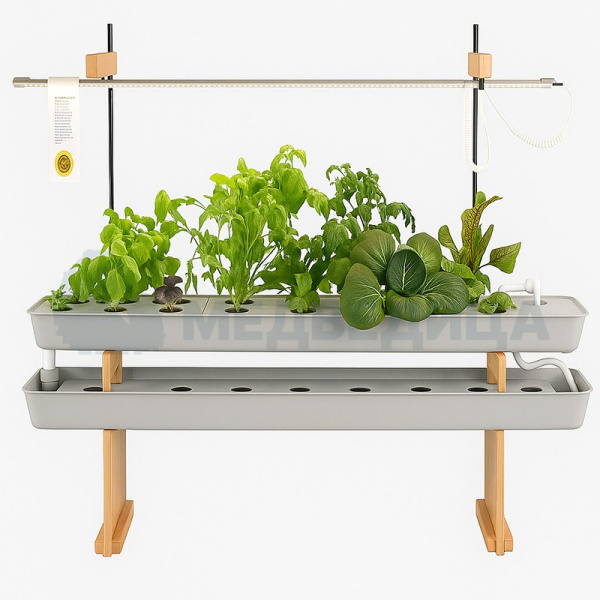 Комплект лабораторного оборудования  «Растения и их среда обитания» со стартовым набором расходных материалов.  