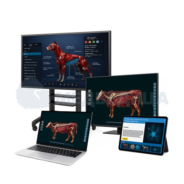 Интерактивное наглядное 3D пособие «Познание: Животные»