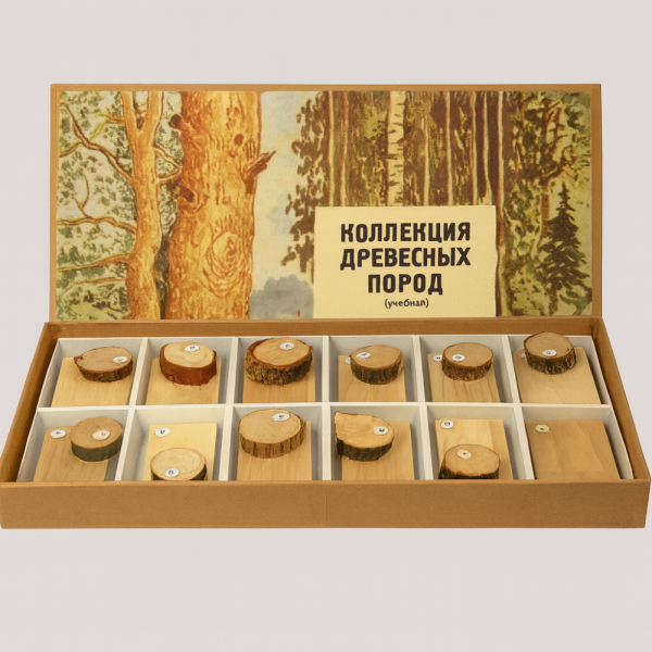 Коллекция «Древесные породы»