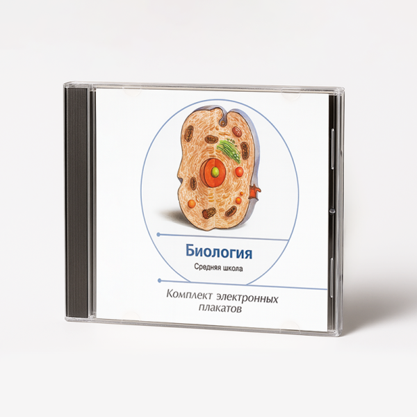 Презентации и плакаты Биология