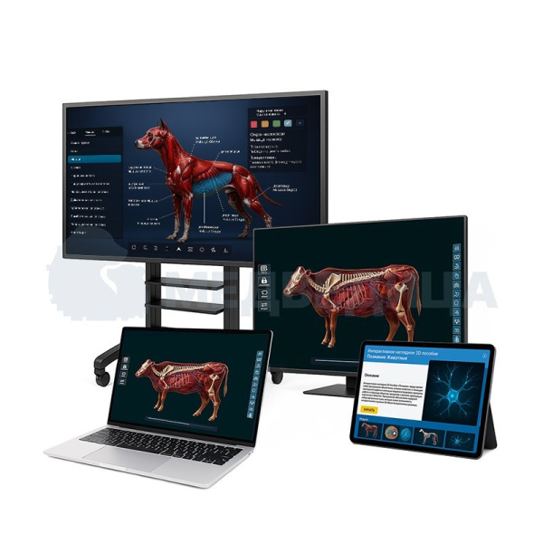 Интерактивное наглядное 3D пособие «Познание: Животные»