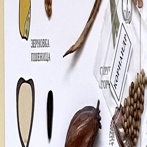 Семена и плоды с раздаточным материалом